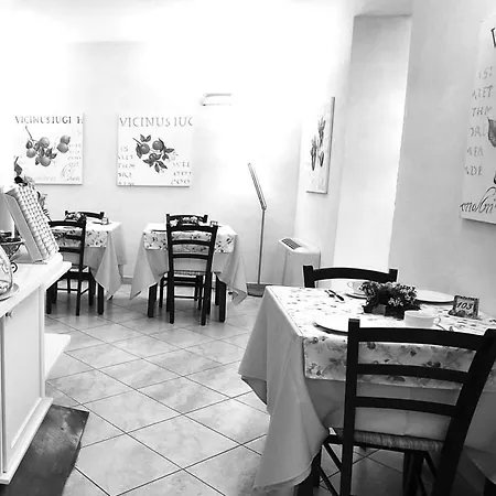 Riviera Blu Hotel Tirrenia